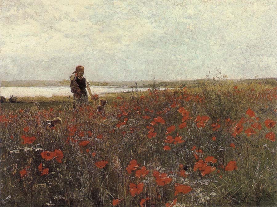 The Poppies